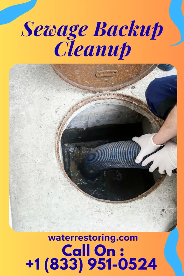 Sewage Backup Cleanup in Germantown Hills, IL