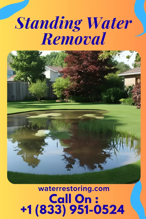 Standing Water Removal in Germantown Hills, IL